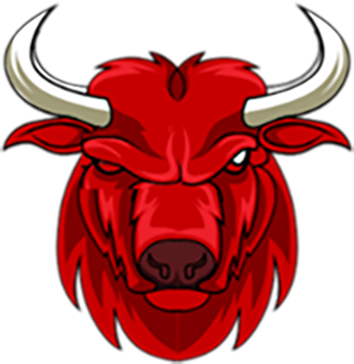 The Bullys